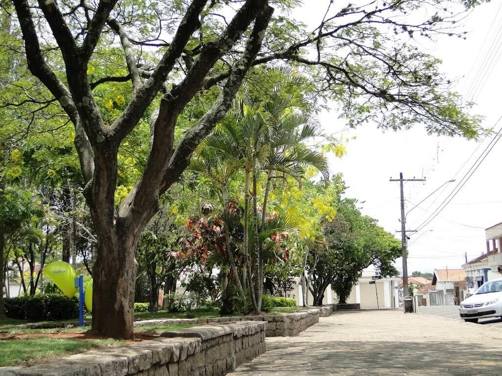 Registro de Marca Pereiras