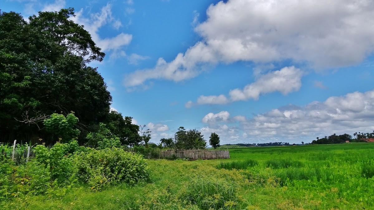 Registro de Marca Peri Mirim