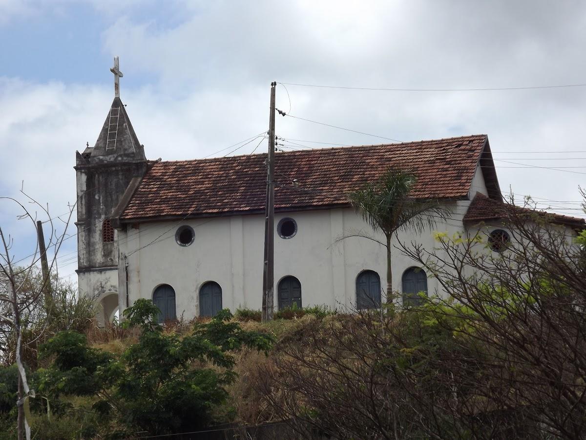 Registro de Marca Periquito