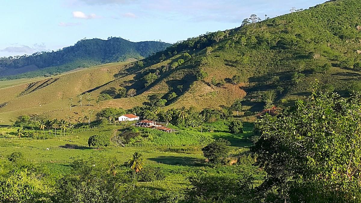 Registro de Marca Pilões