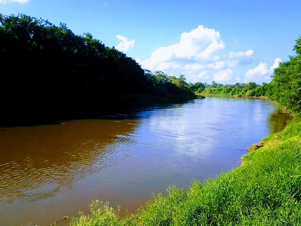 Registro de Marca Pindamonhangaba