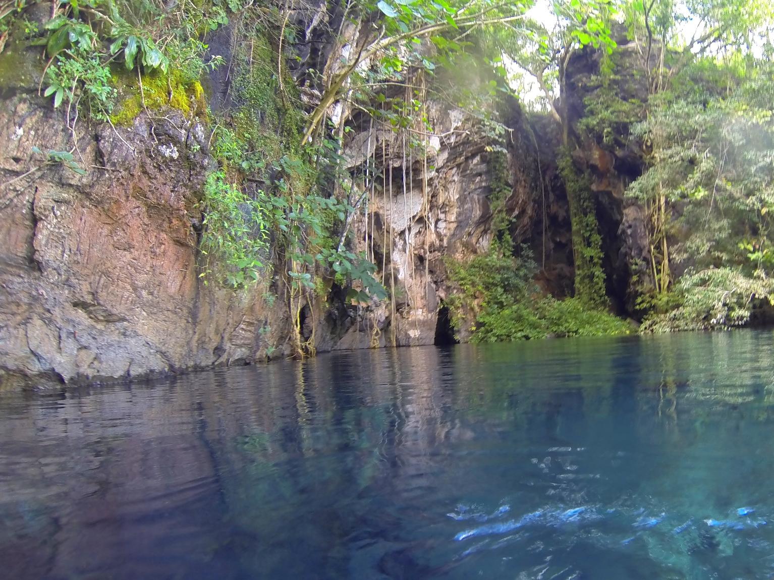 Registro de Marca Pindorama do Tocantins