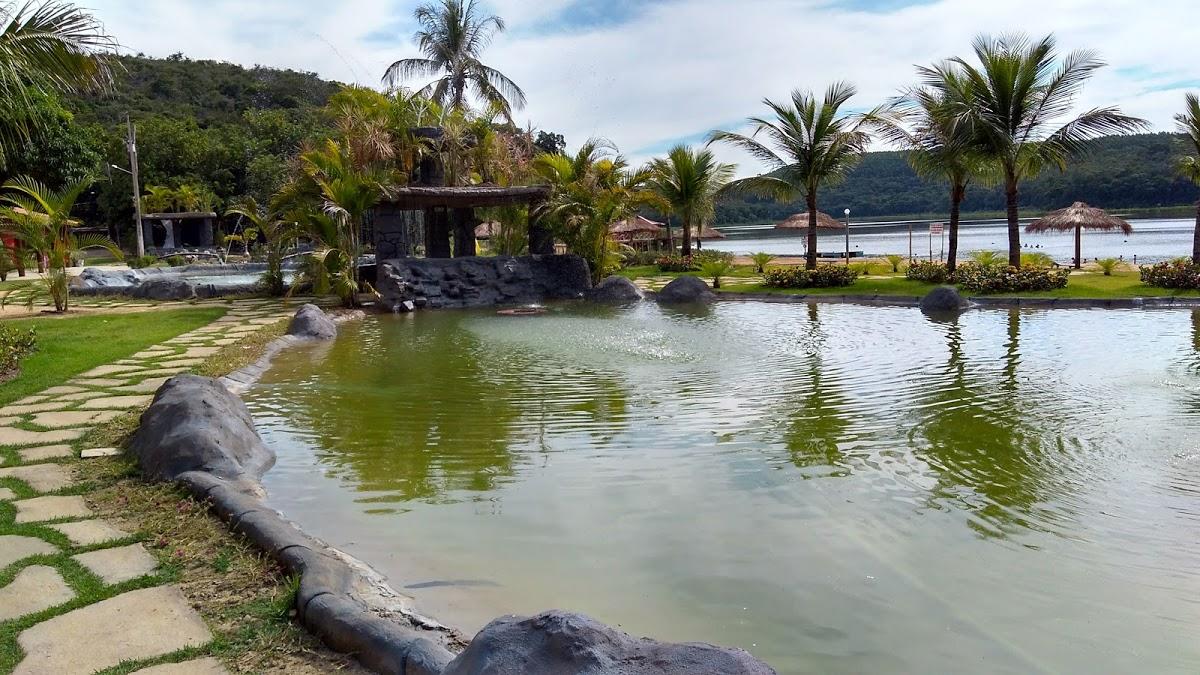 Registro de Marca Pingo-D'Água