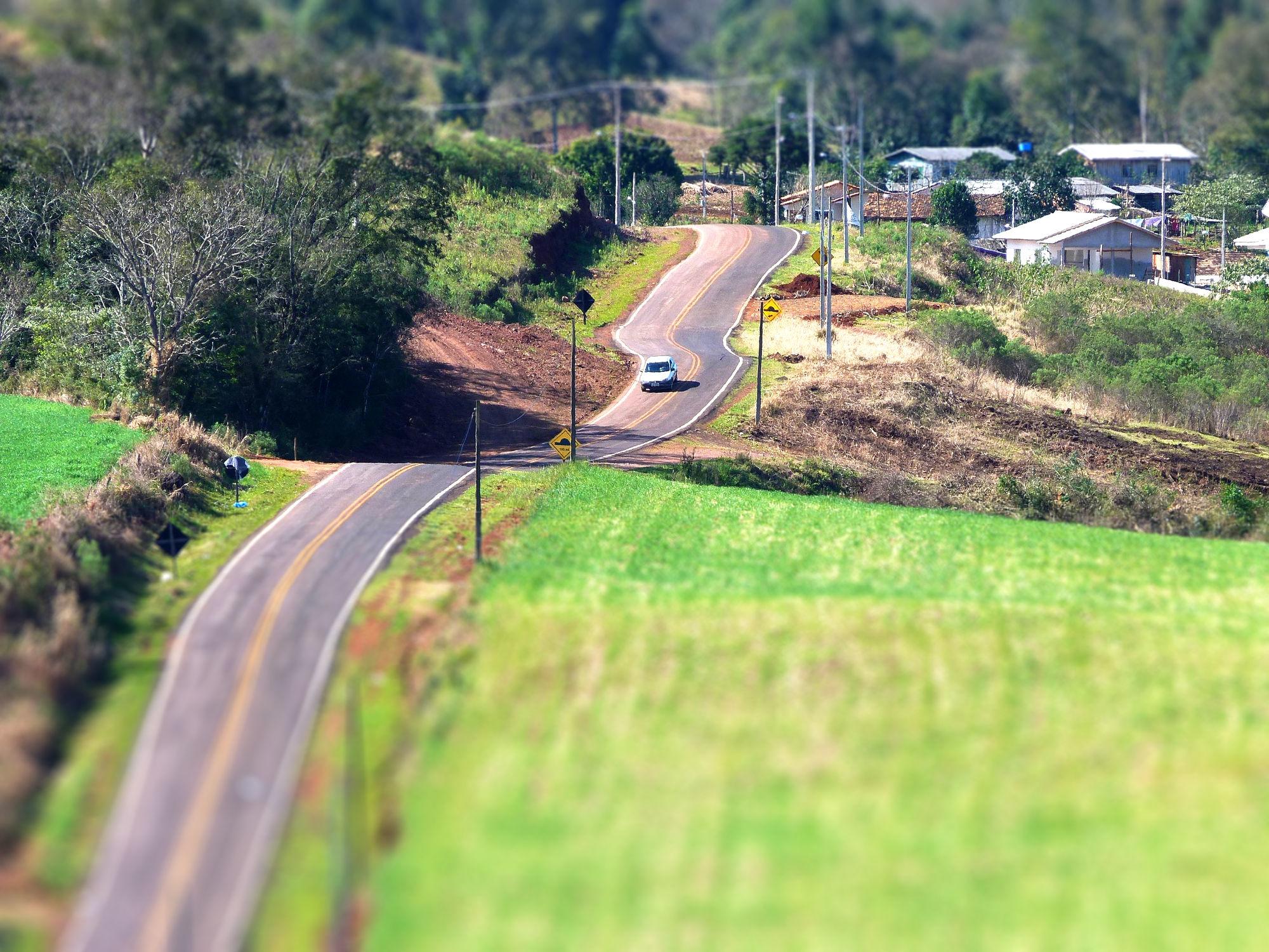 Registro de Marca Pinhal de São Bento