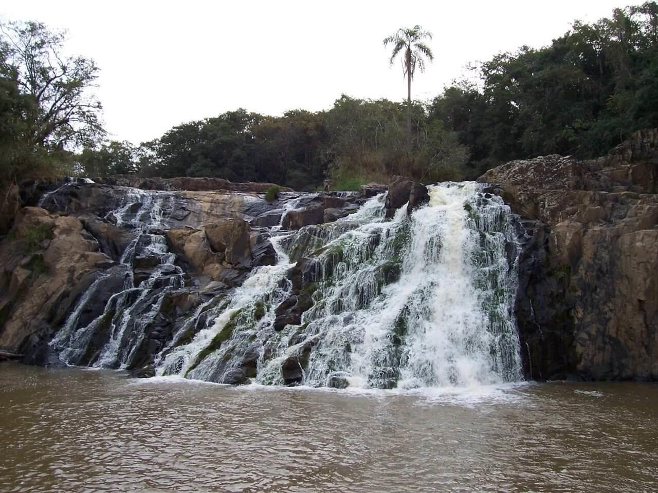 Registro de Marca Pinhalão