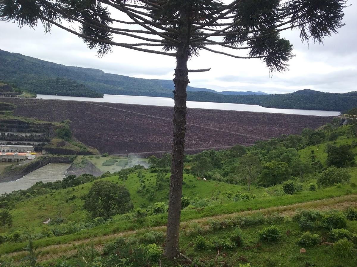 Registro de Marca Pinhão