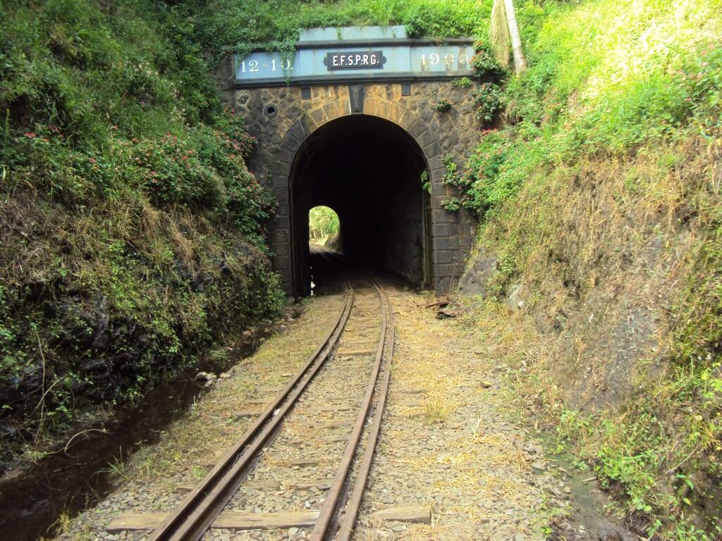 Registro de Marca Pinheiro Preto