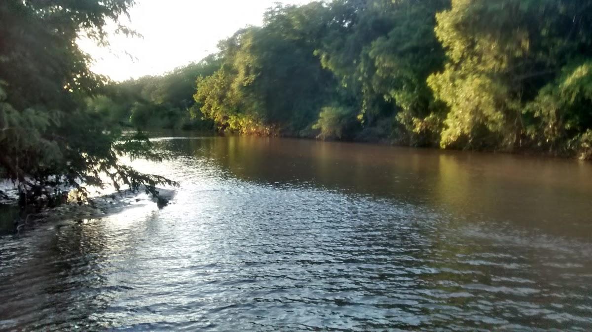 Registro de Marca Pintópolis