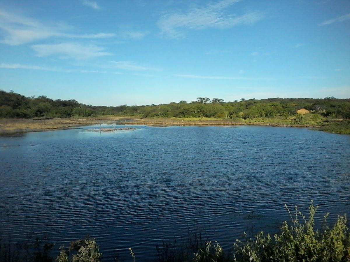 Registro de Marca Pio IX