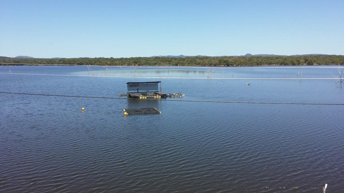 Registro de Marca Piracuruca
