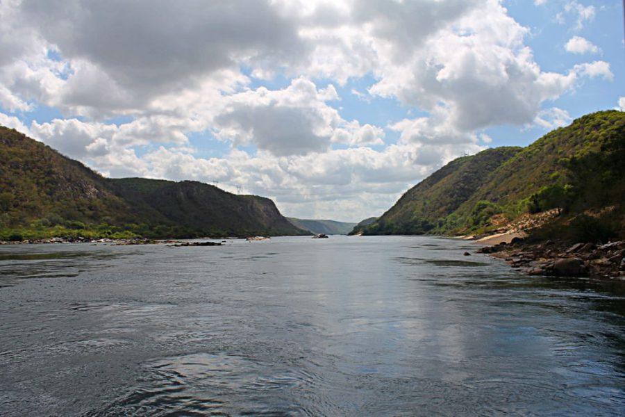 Registro de Marca Piranhas