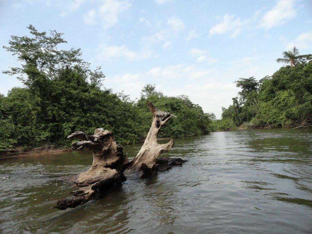 Registro de Marca Piraquê