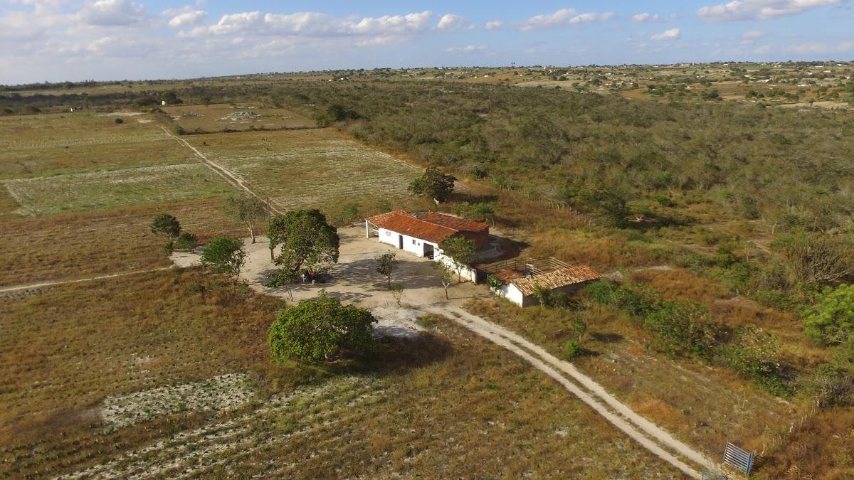 Registro de Marca Pocinhos