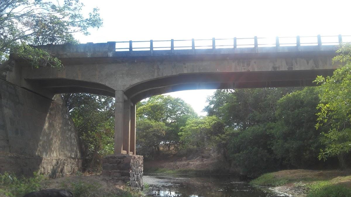 Registro de Marca Ponto Novo