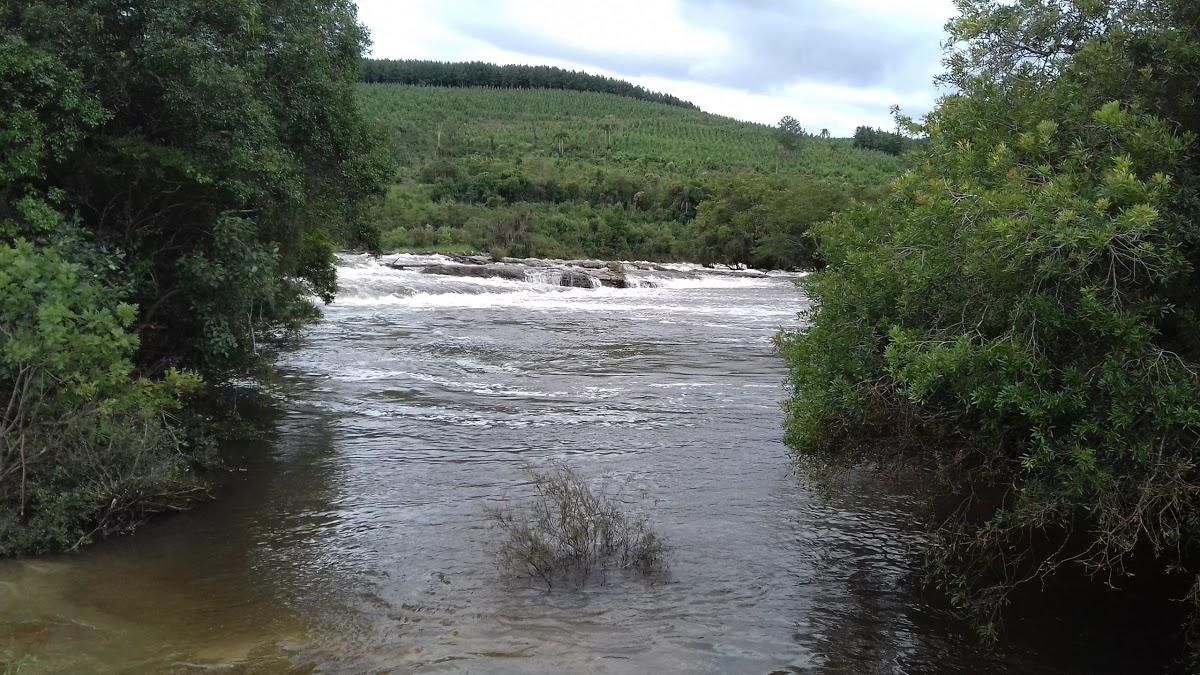 Registro de Marca Porto Amazonas