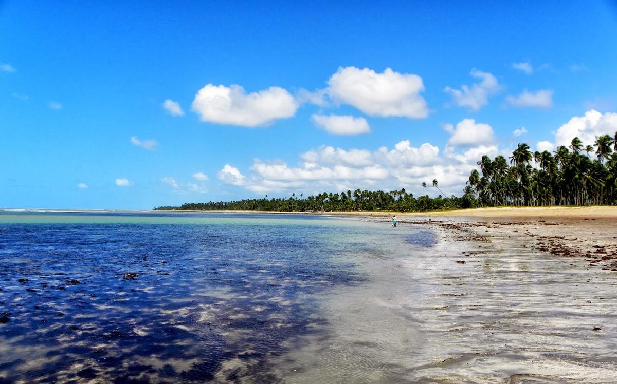 Registro de Marca Porto de Pedras