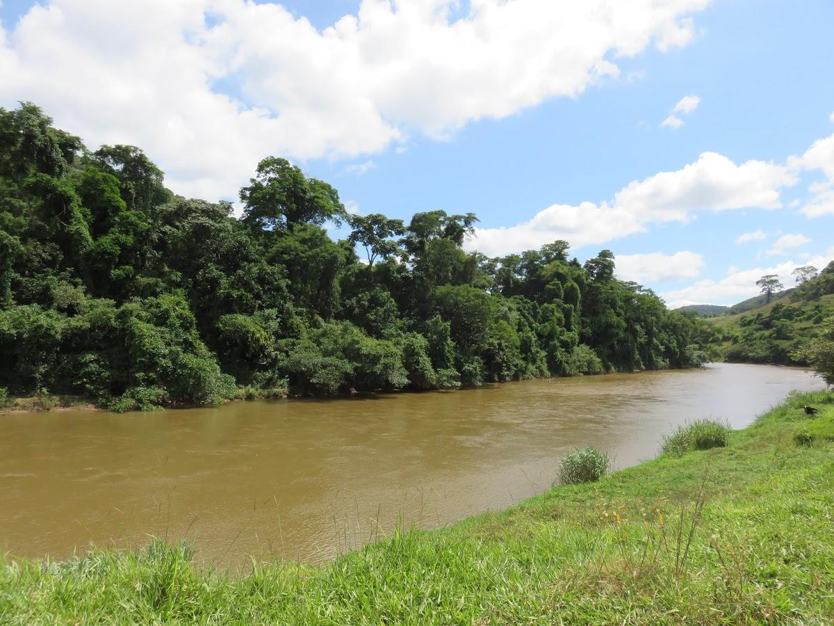 Registro de Marca Porto Firme