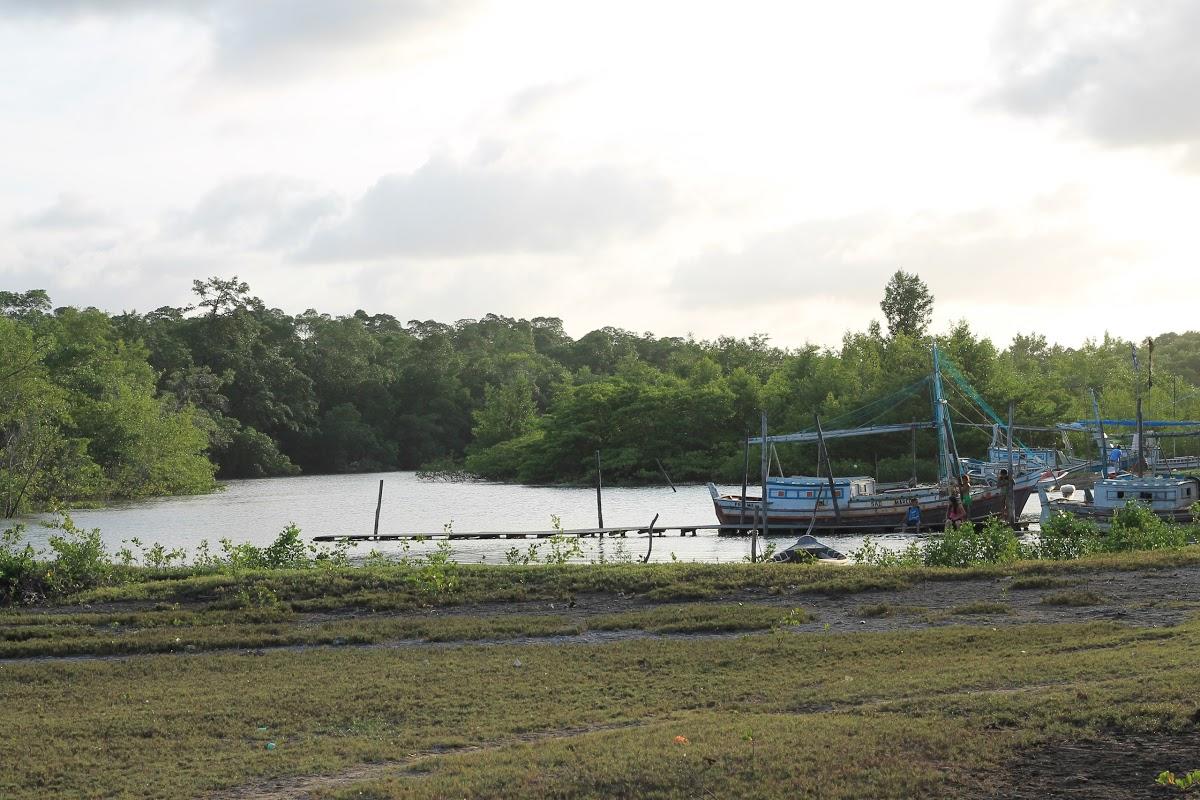 Registro de Marca Porto Rico do Maranhão