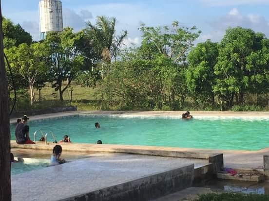 Registro de Marca Pracuúba