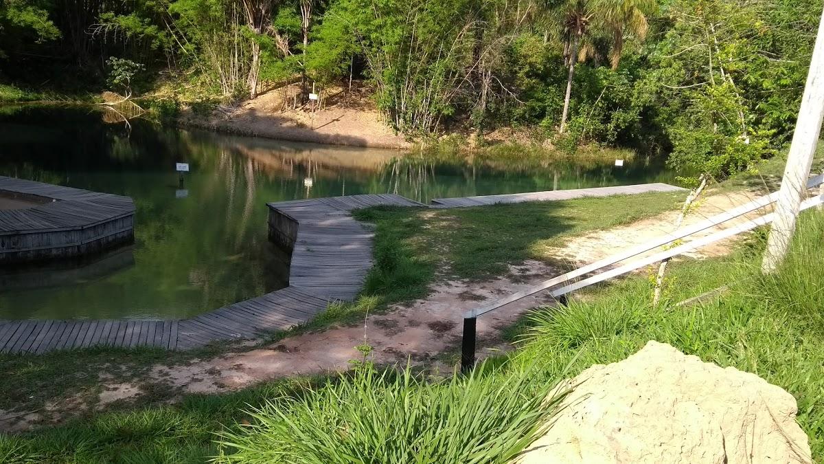 Registro de Marca Primavera de Rondônia