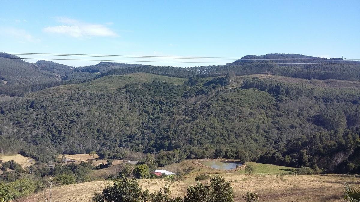 Registro de Marca Progresso