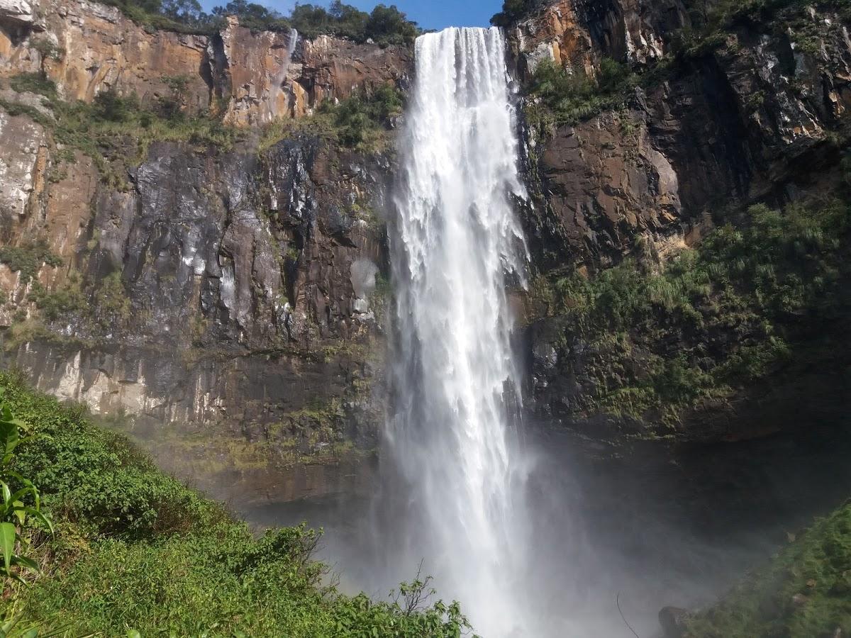 Registro de Marca Prudentópolis