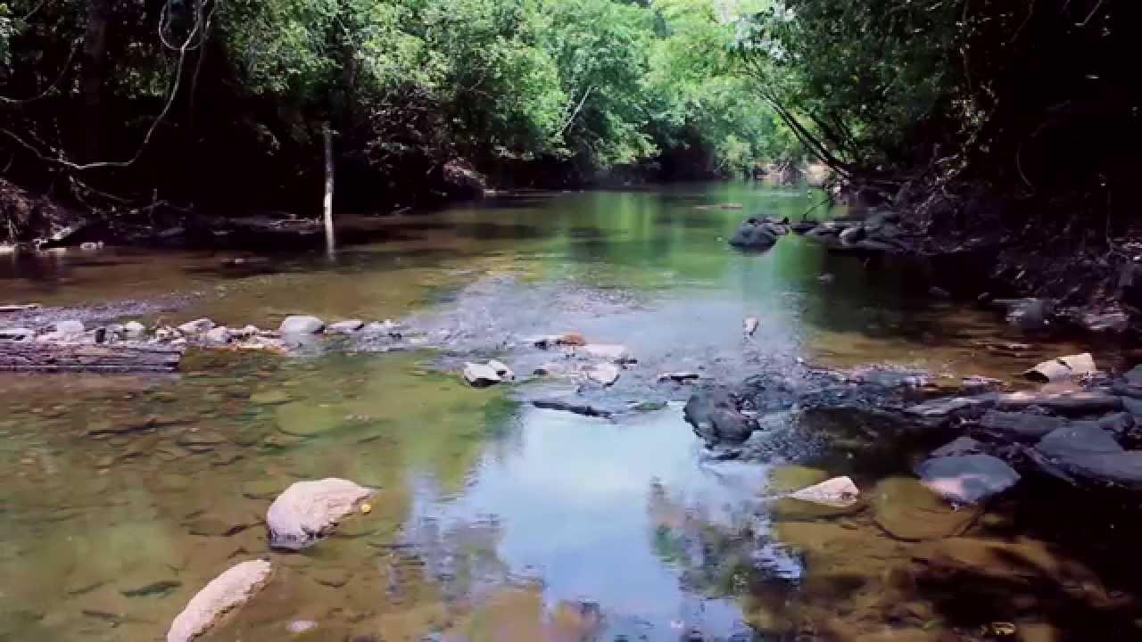 Registro de Marca Pugmil