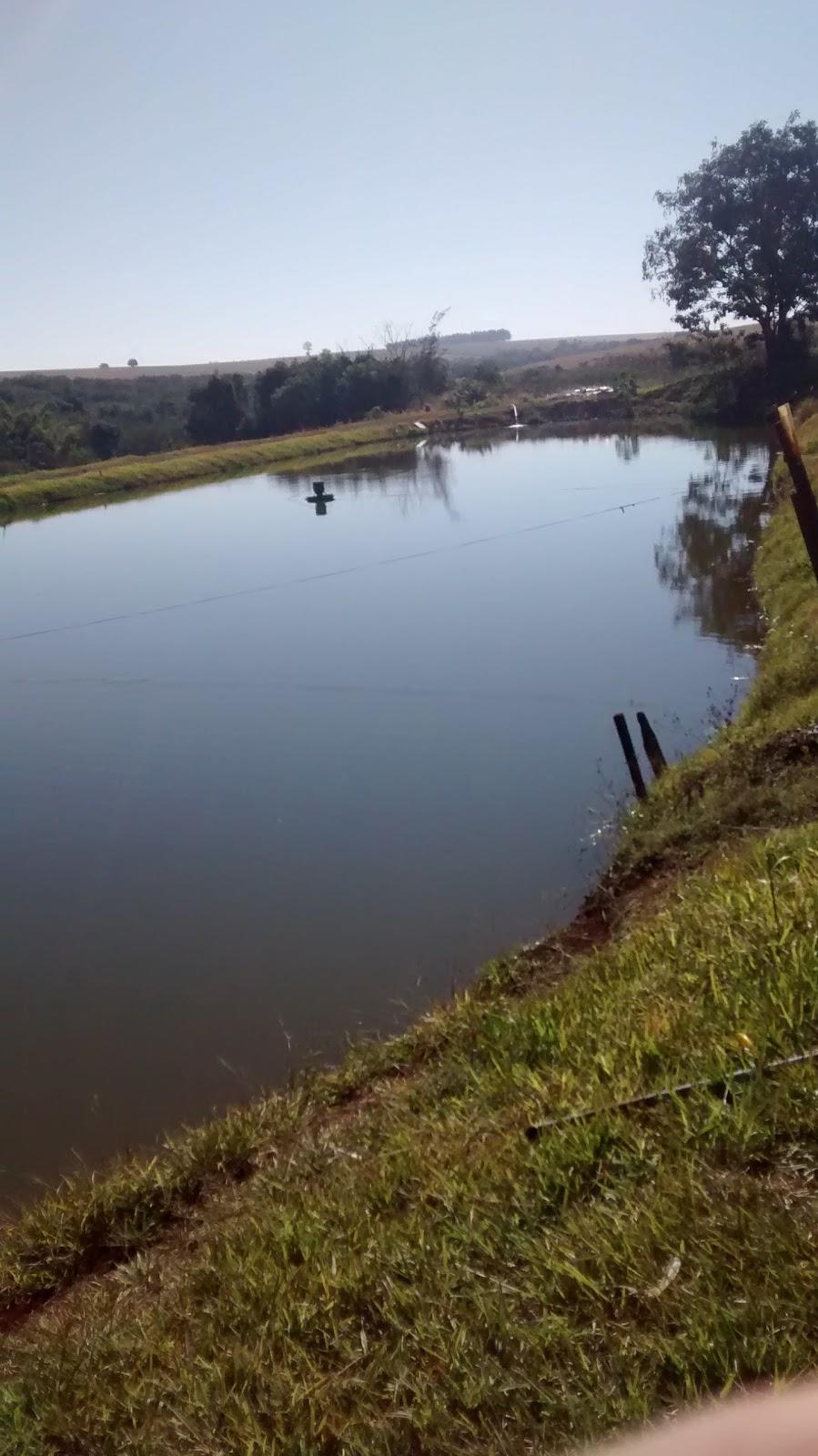 Registro de Marca Quarto Centenário