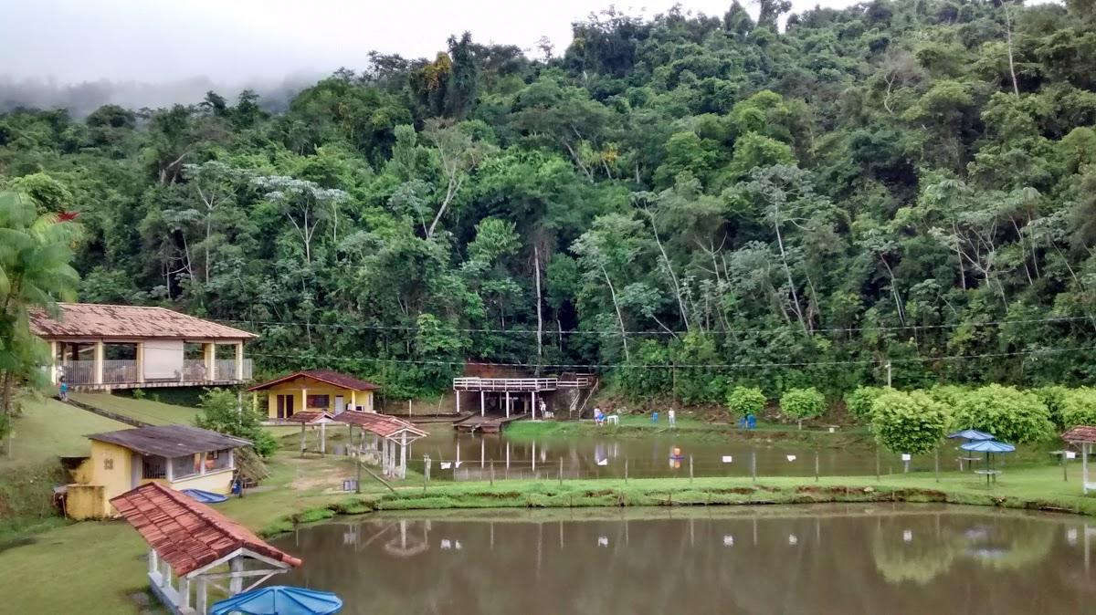 Registro de Marca Quatis