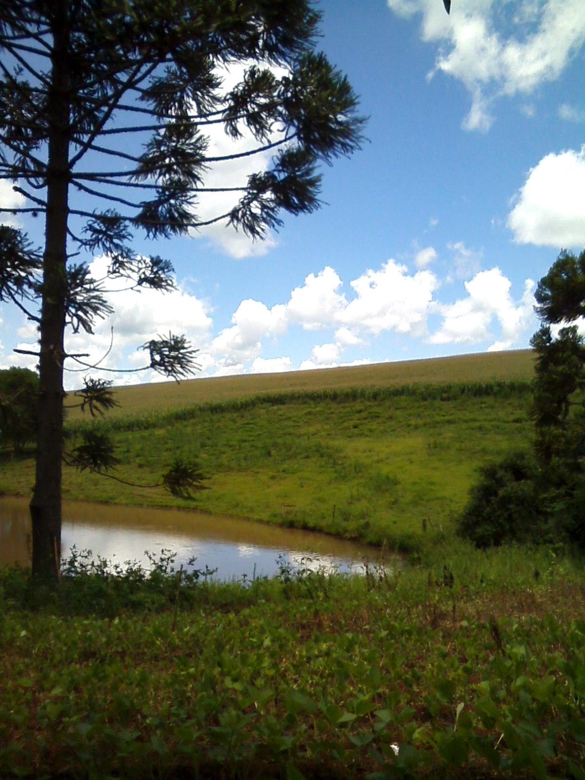 Registro de Marca Quatro Irmãos