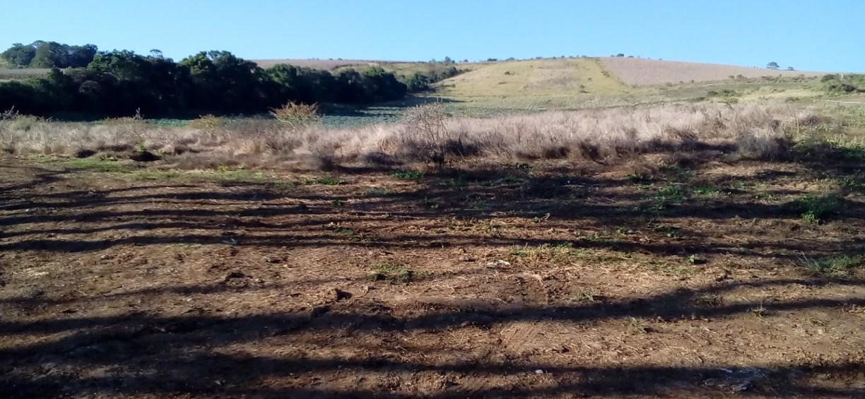 Registro de Marca Quebrangulo