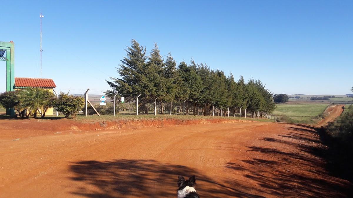 Registro de Marca Quevedos