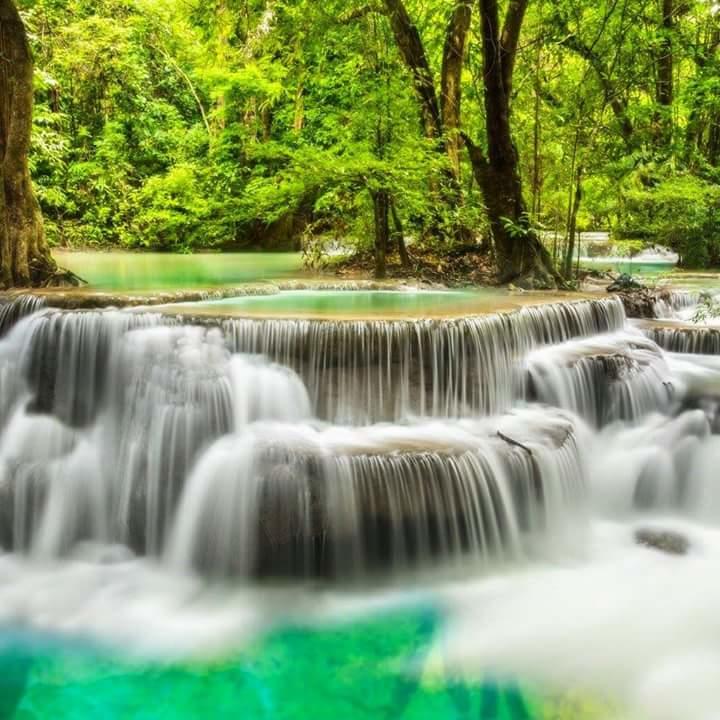 Registro de Marca Quirinópolis