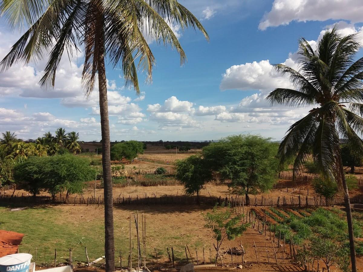 Registro de Marca Quixaba