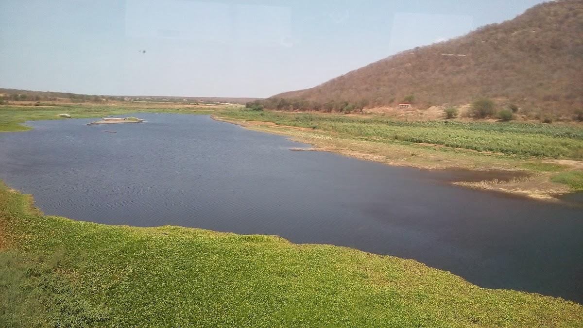 Registro de Marca Quixeramobim