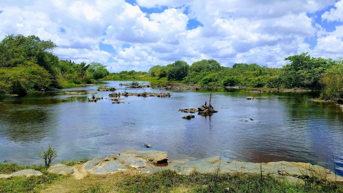 Registro de Marca Rafael Jambeiro