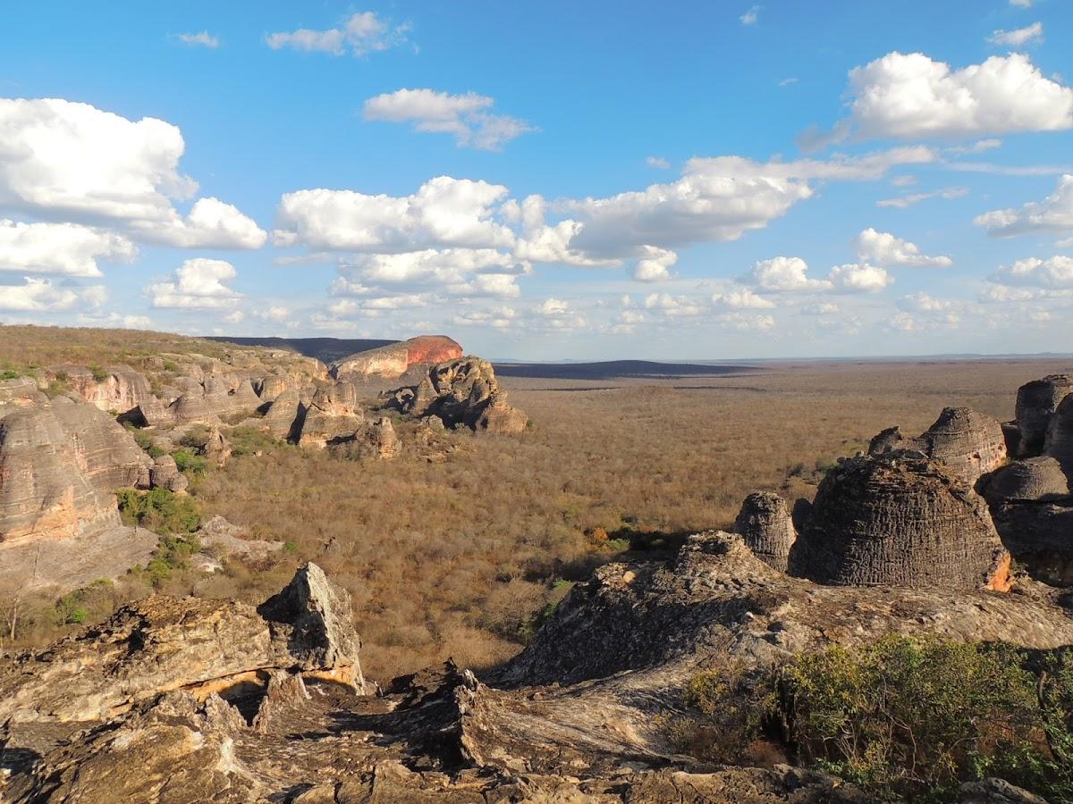 Registro de Marca Redenção do Gurguéia