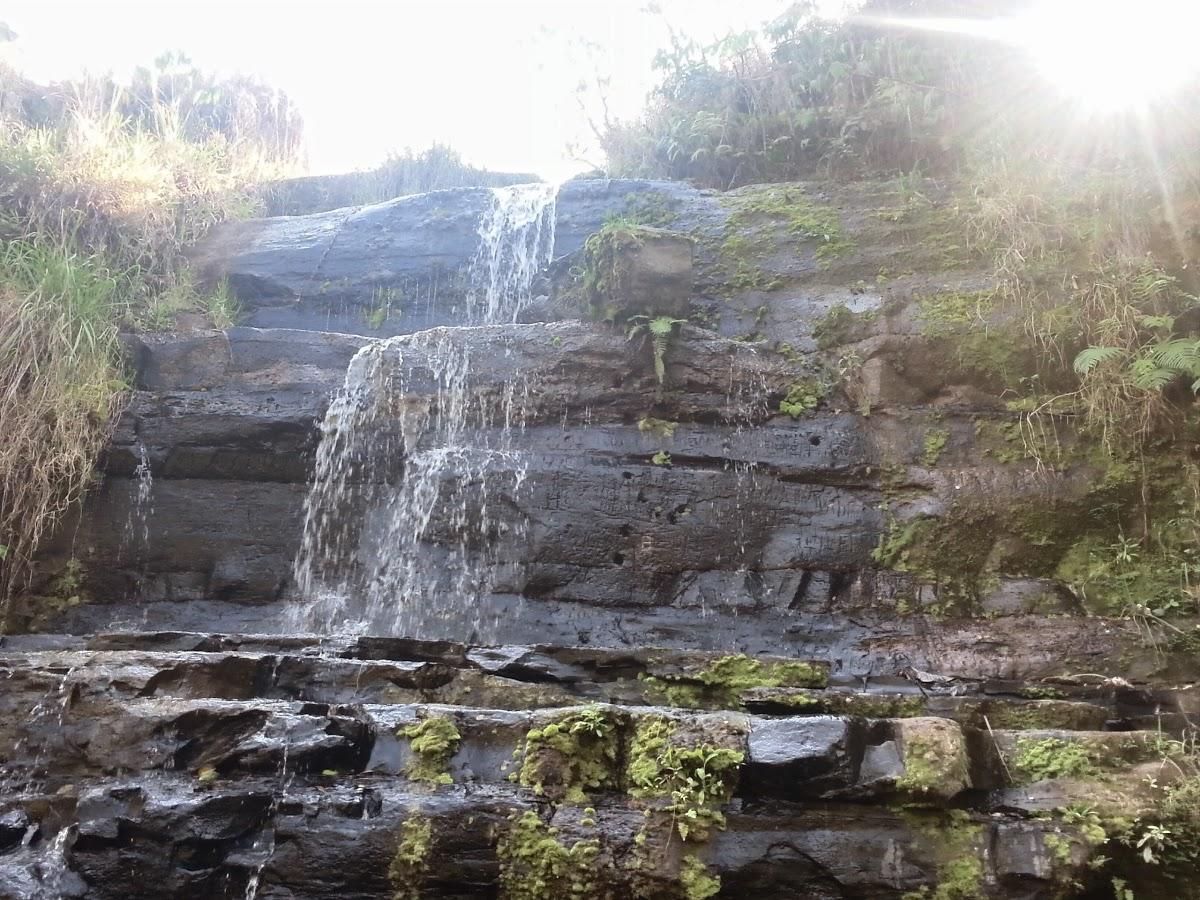 Registro de Marca Regente Feijó