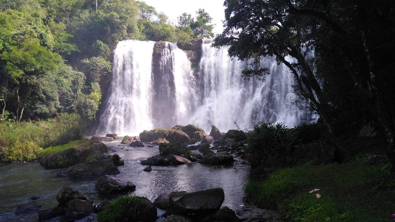 Registro de Marca Reserva do Iguaçu