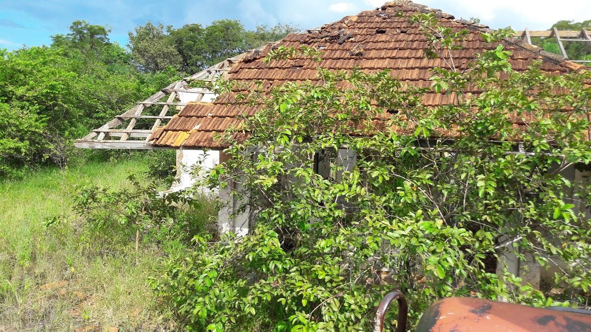 Registro de Marca Ribas do Rio Pardo