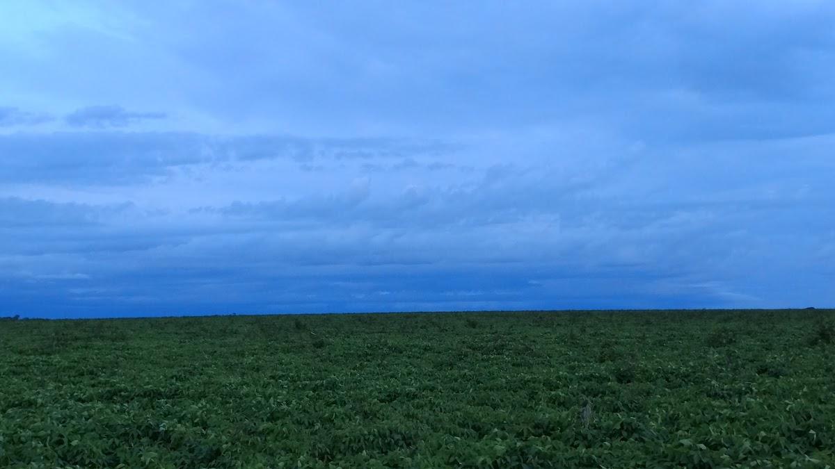 Registro de Marca Ribeirão Cascalheira