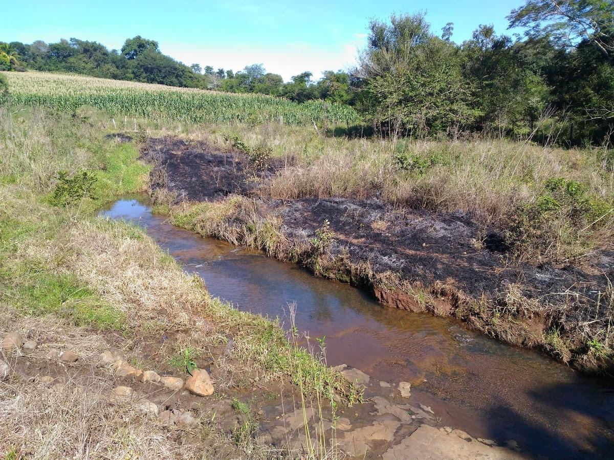 Registro de Marca Ribeirão do Pinhal