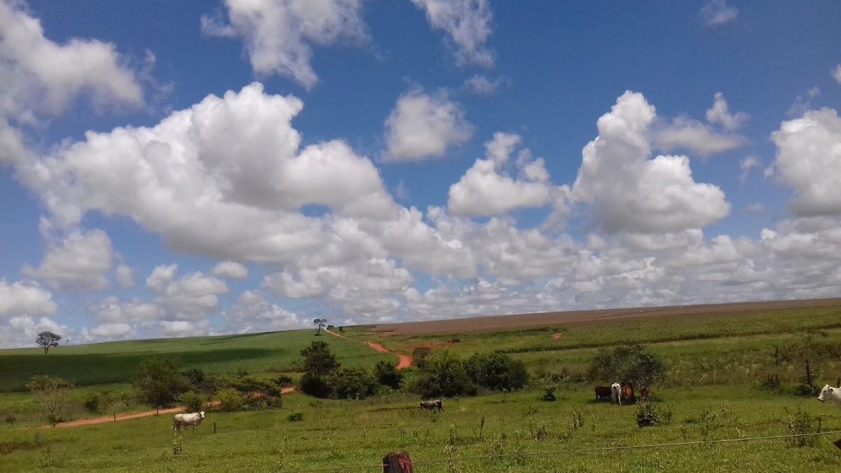 Registro de Marca Ribeirão dos Índios