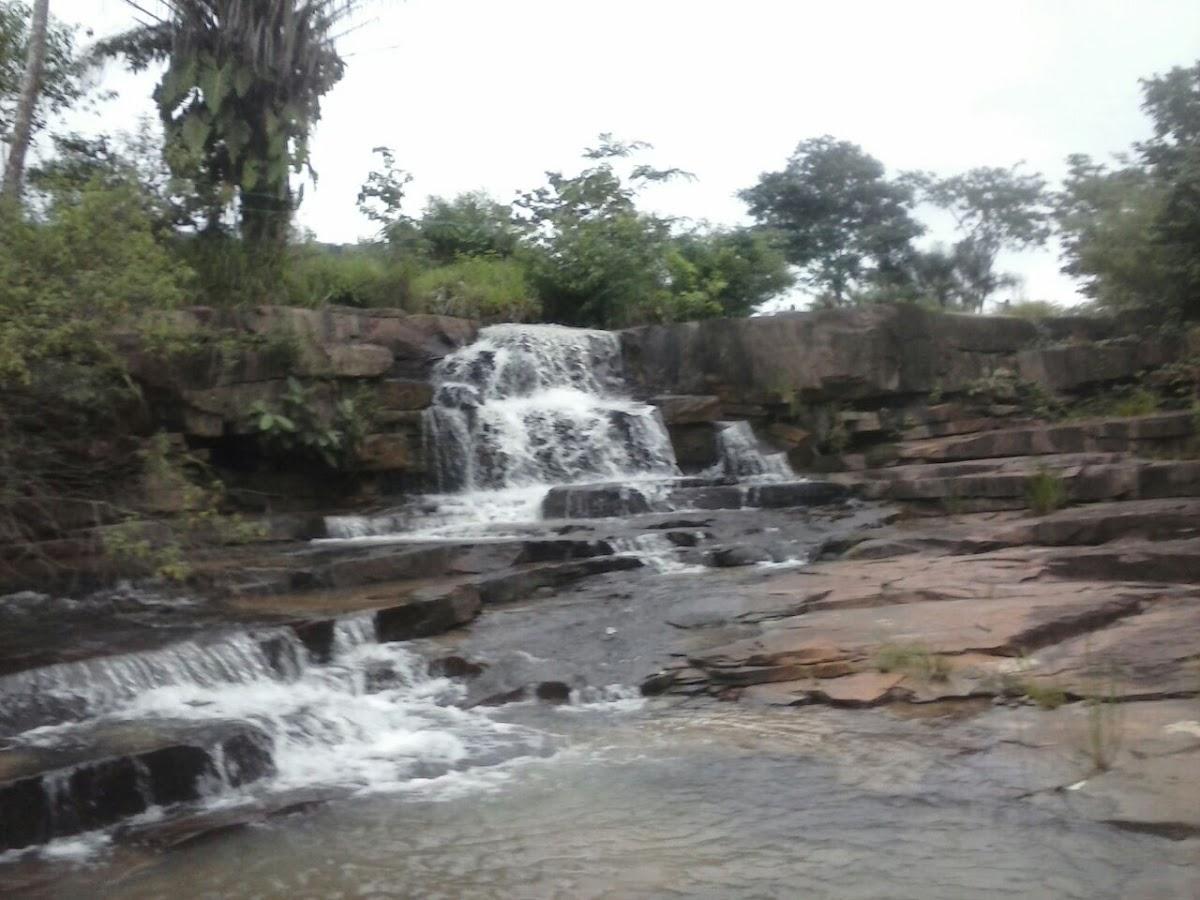 Registro de Marca Rio Branco