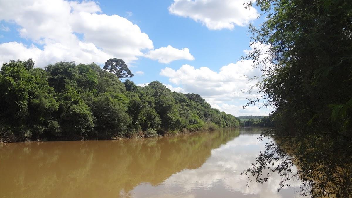 Registro de Marca Rio Negro