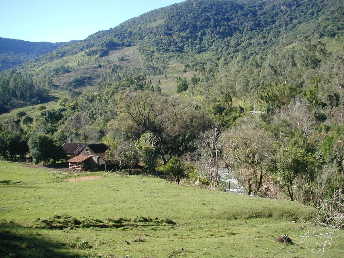 Registro de Marca Riozinho