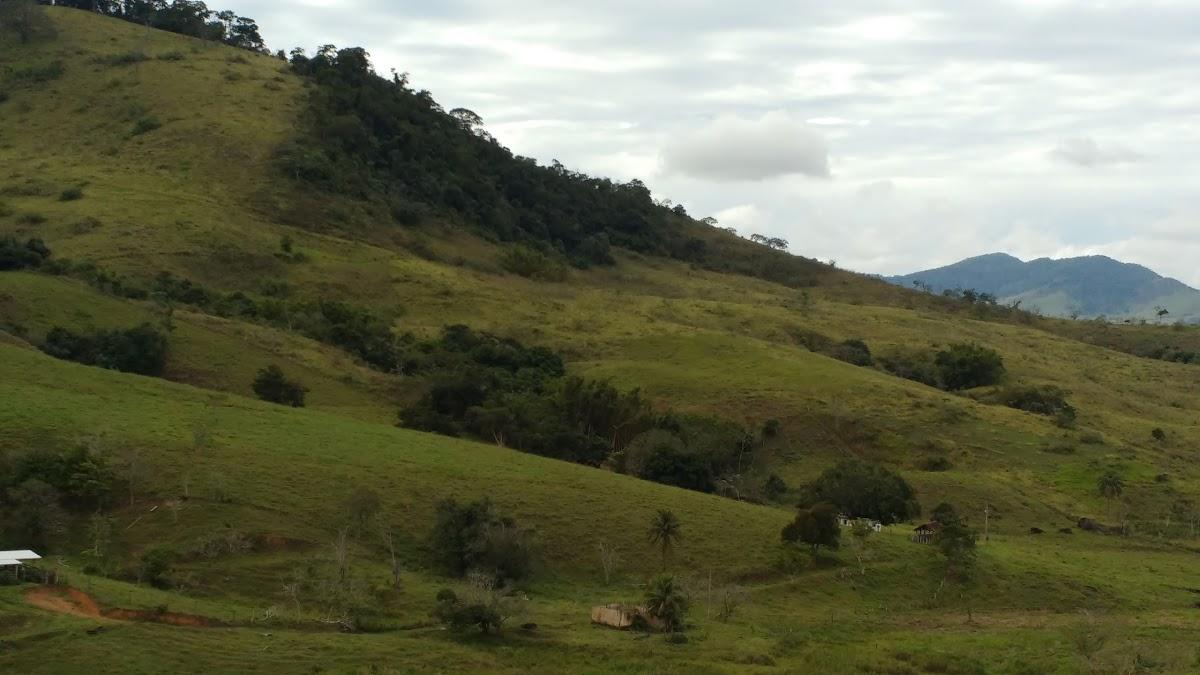 Registro de Marca Rochedo de Minas