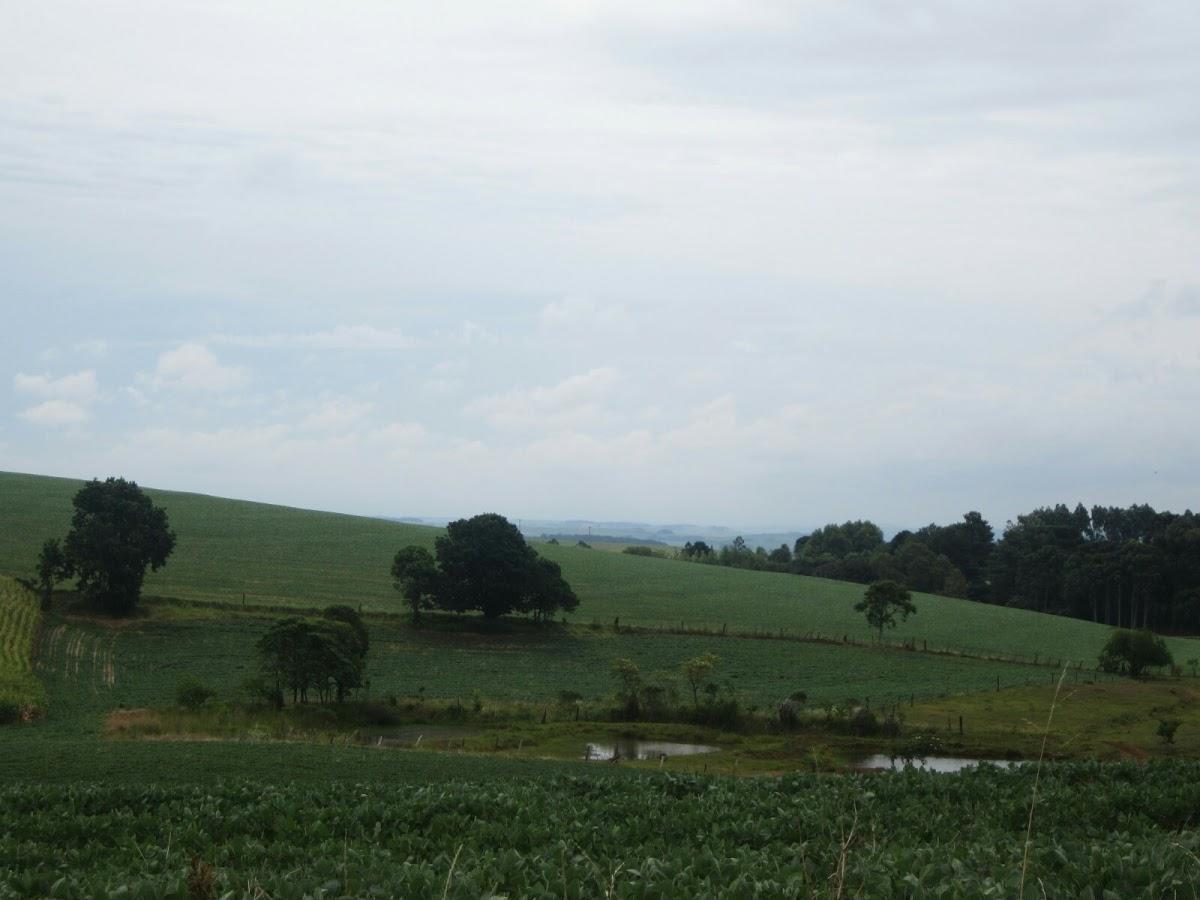Registro de Marca Ronda Alta