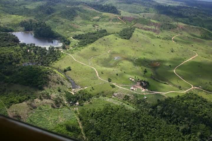 Registro de Marca Rondon do Pará