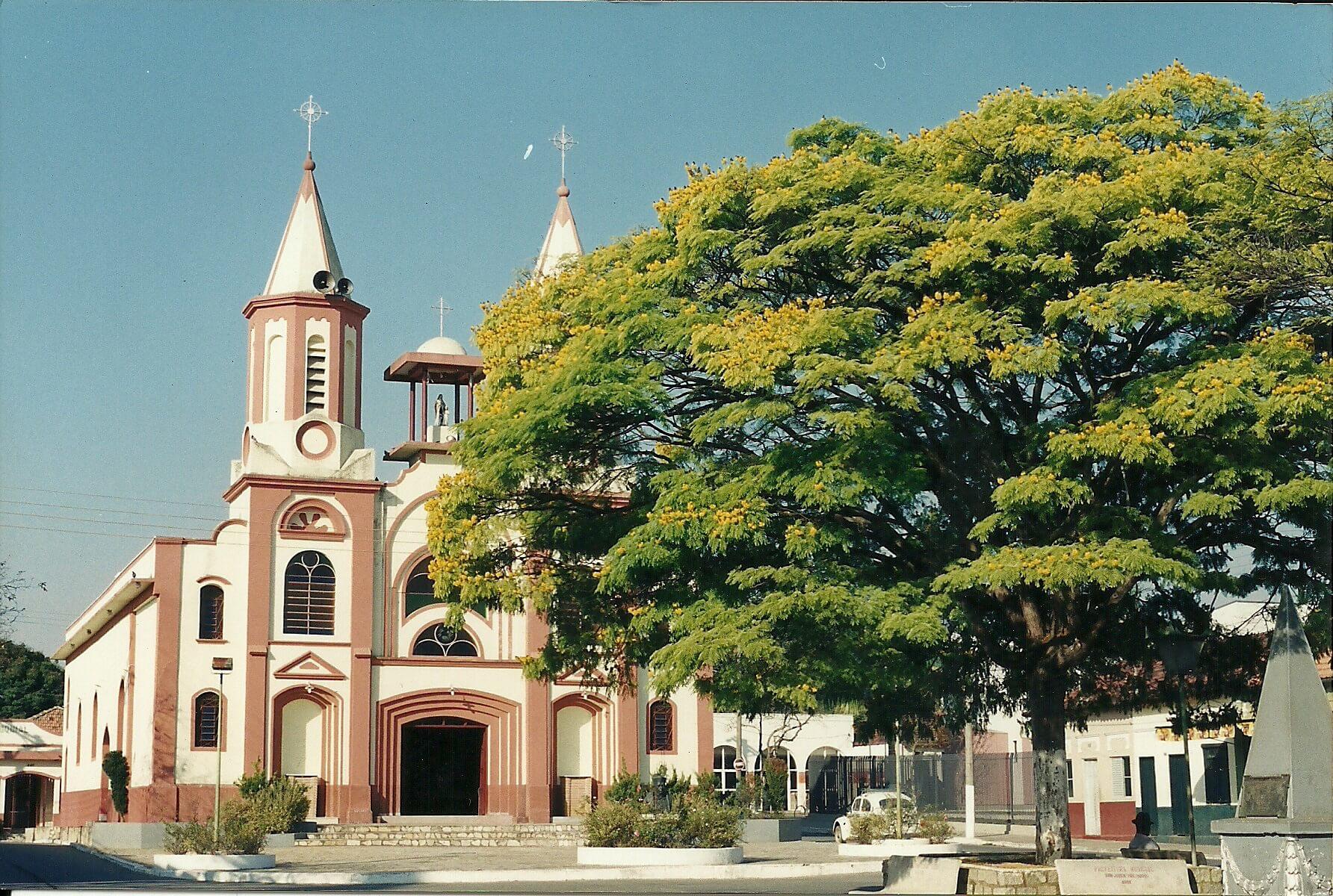 Registro de Marca Roseira